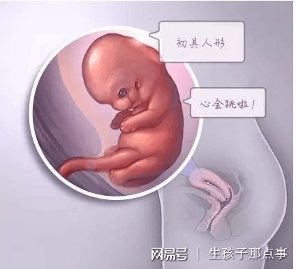 好孕故事